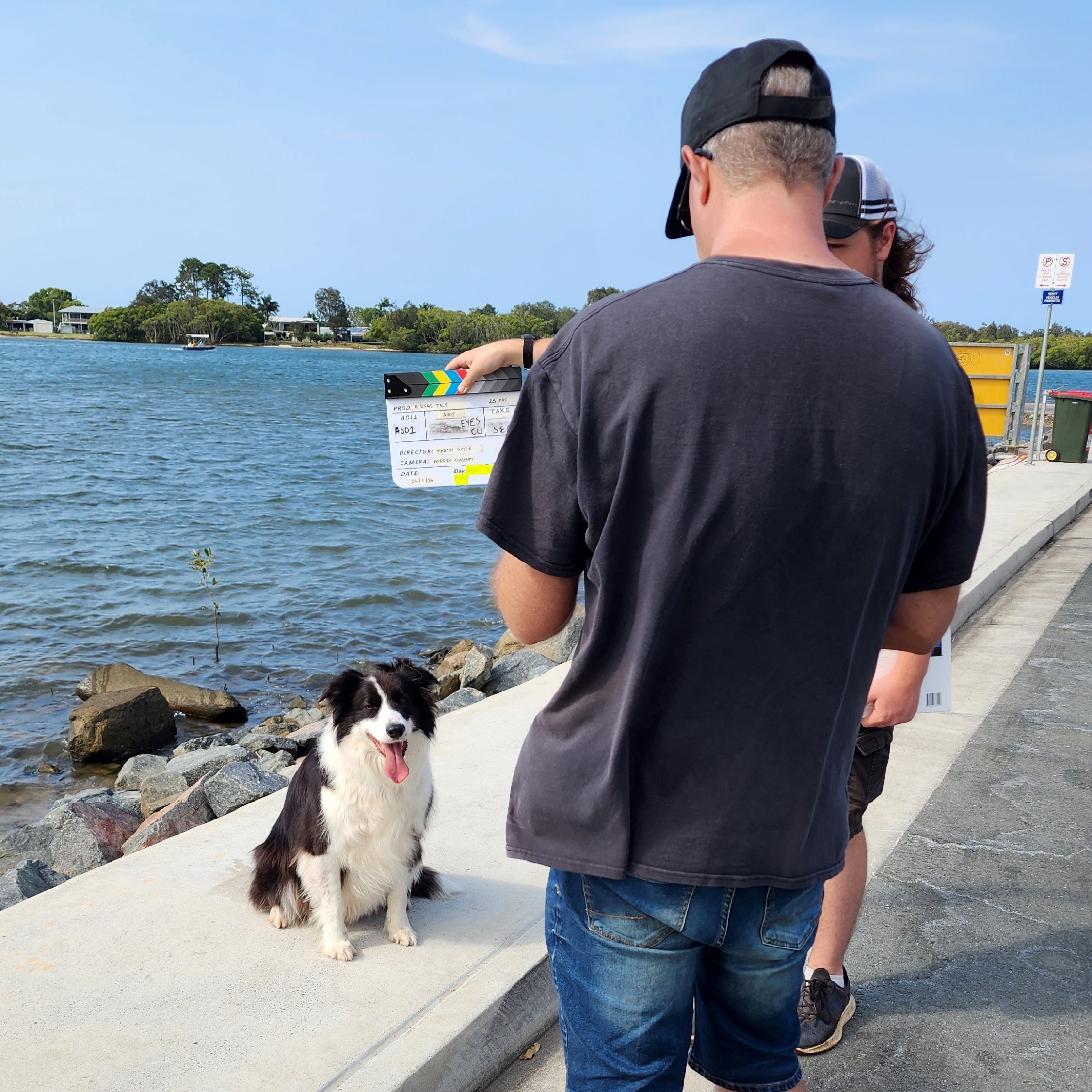 Charlotte Bryan Dog Trainer For Film & TV Charlotte Bryan Dog Trainer For Film & TV